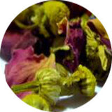 Lover's Rose - Maitea