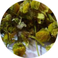 Organic Chamomile Premium Grade