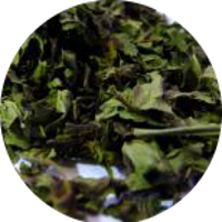 Organic Peppermint