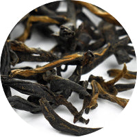 Red Dragon - Shanhong